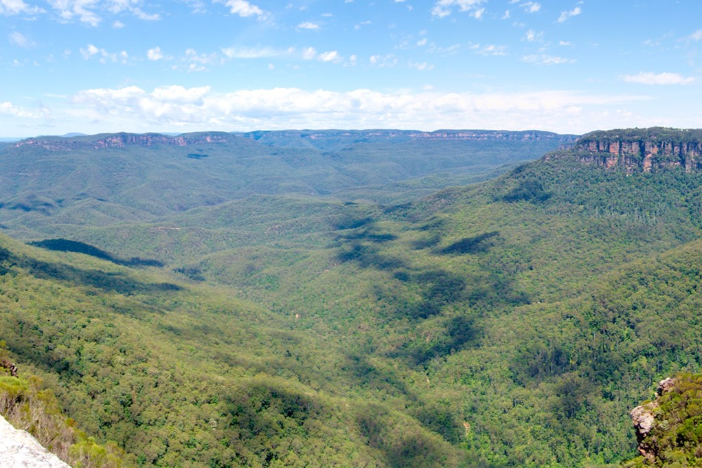 Blue Mountain Featherdale Wildlife Park and Scenic World 1 Day Tour