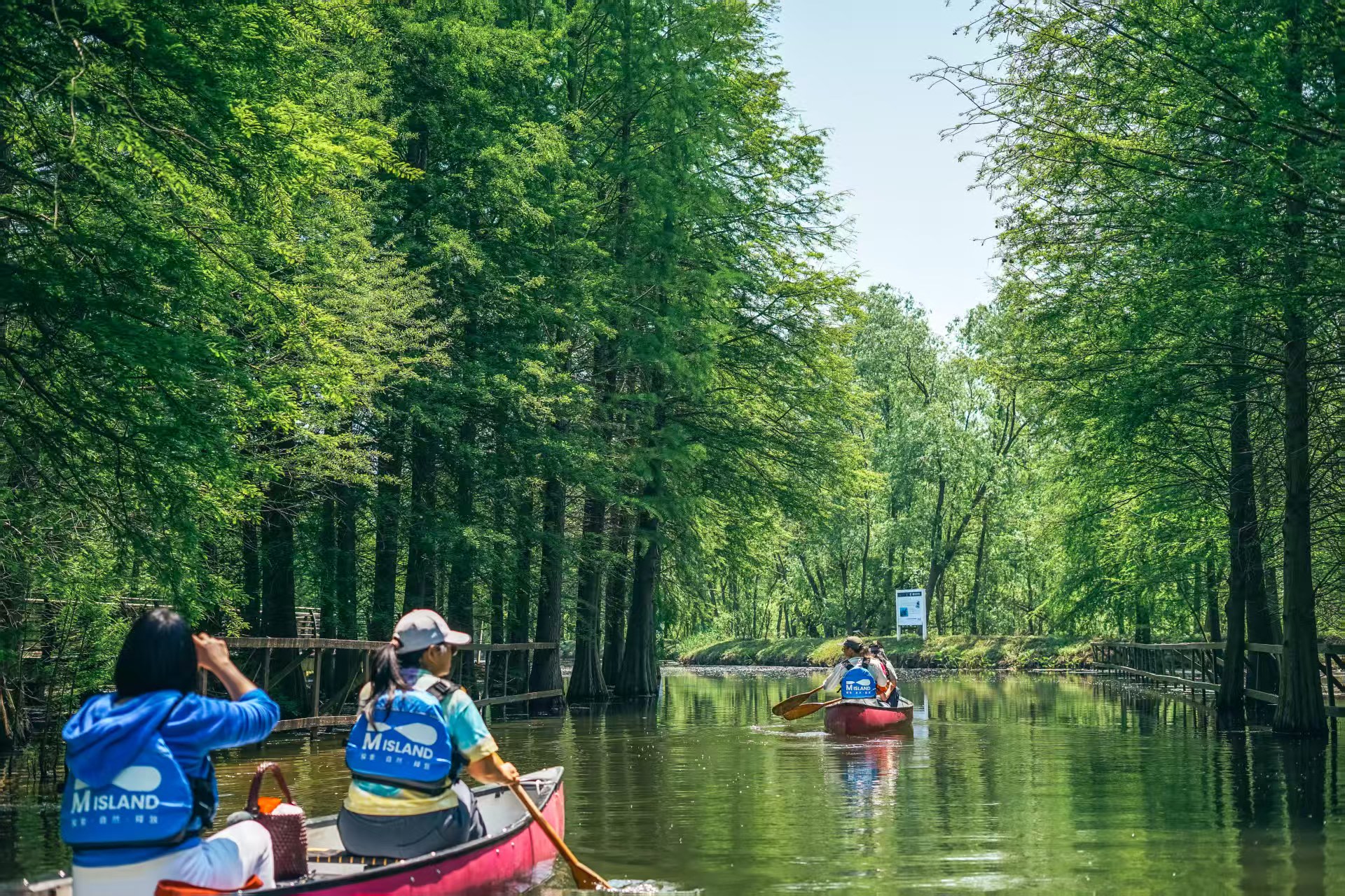 Chongming Island Day Trip - Hidden Wetland & Water Forest Canoeing