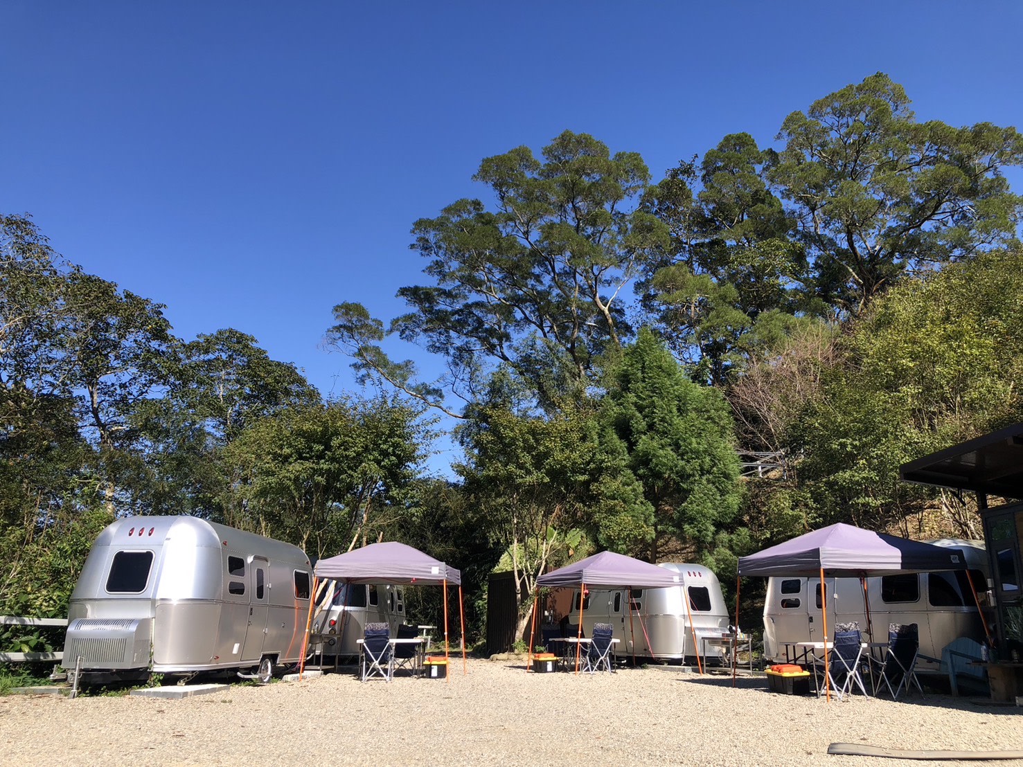 Miaoli Camping | Tree Whispers and Starry Skies | Nordic Campervan Experience