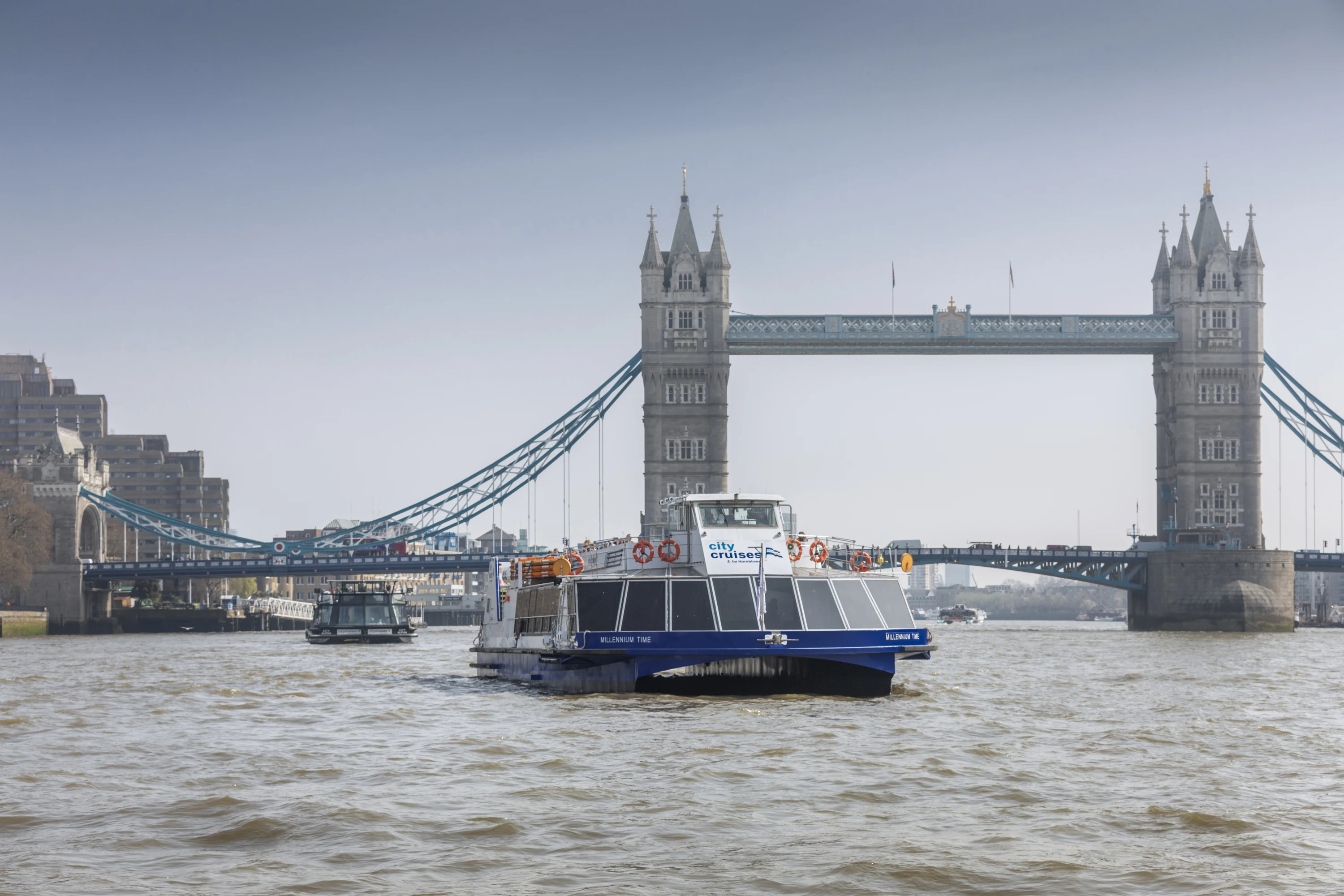 Thames River Sightseeing and Dining Cruise