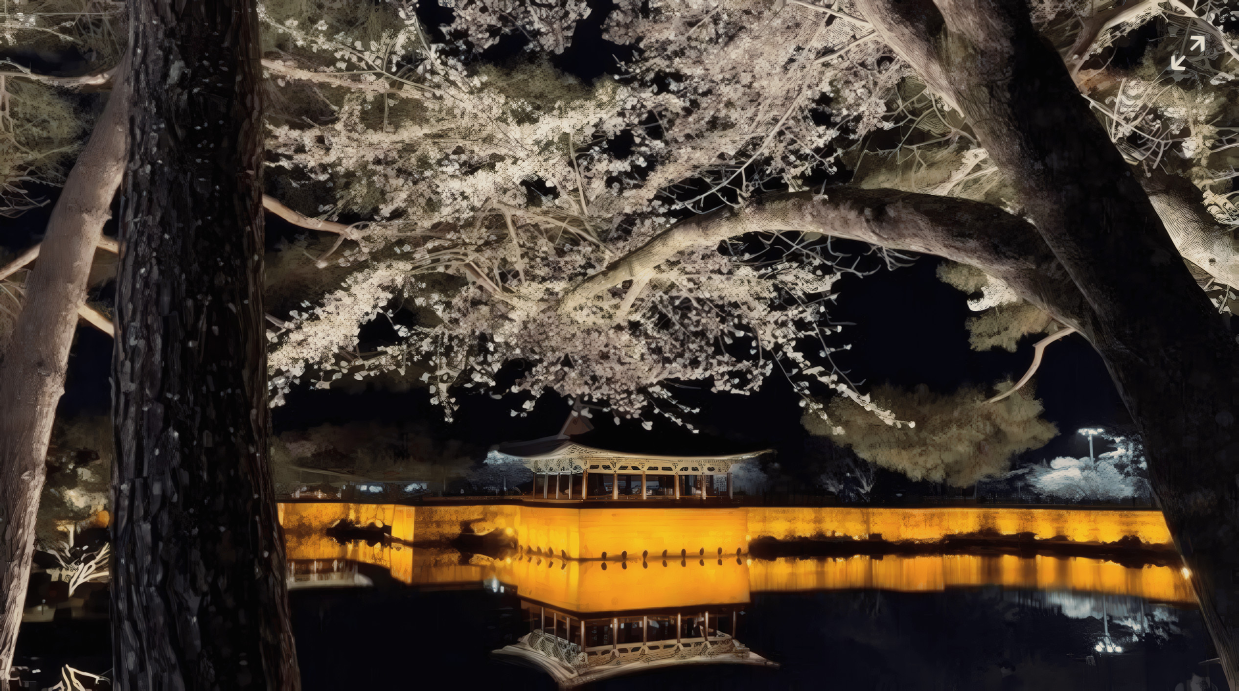 Busan va Gyeongju UNESCO Jahon merosi hamda tungi manzara sayohati
