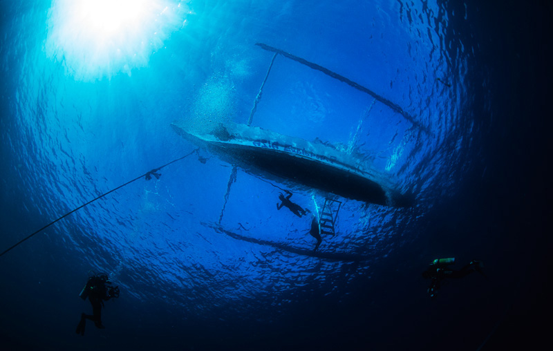 加利拉港PADI高級開放水域潛水體驗（PADI五星級CDC）