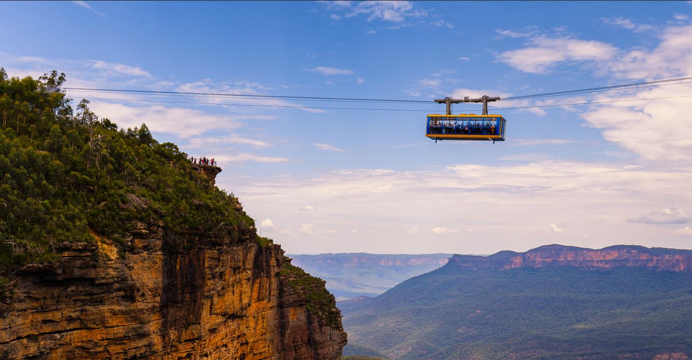 Australian Wildlife, Blue Mountains & Scenic World Private Tour