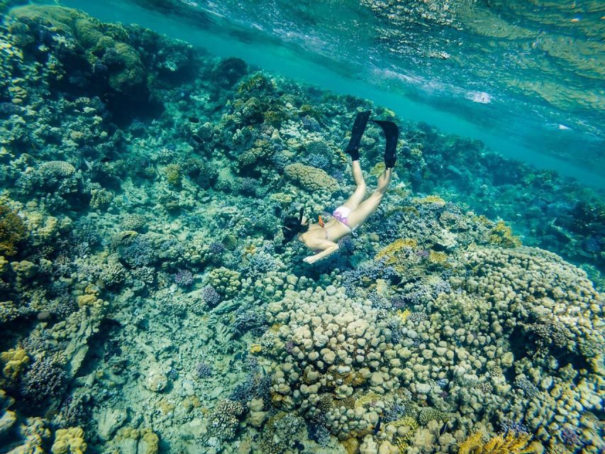 從埃爾古納出發：奧蘭治島浮潛之旅 & 風帆傘運動