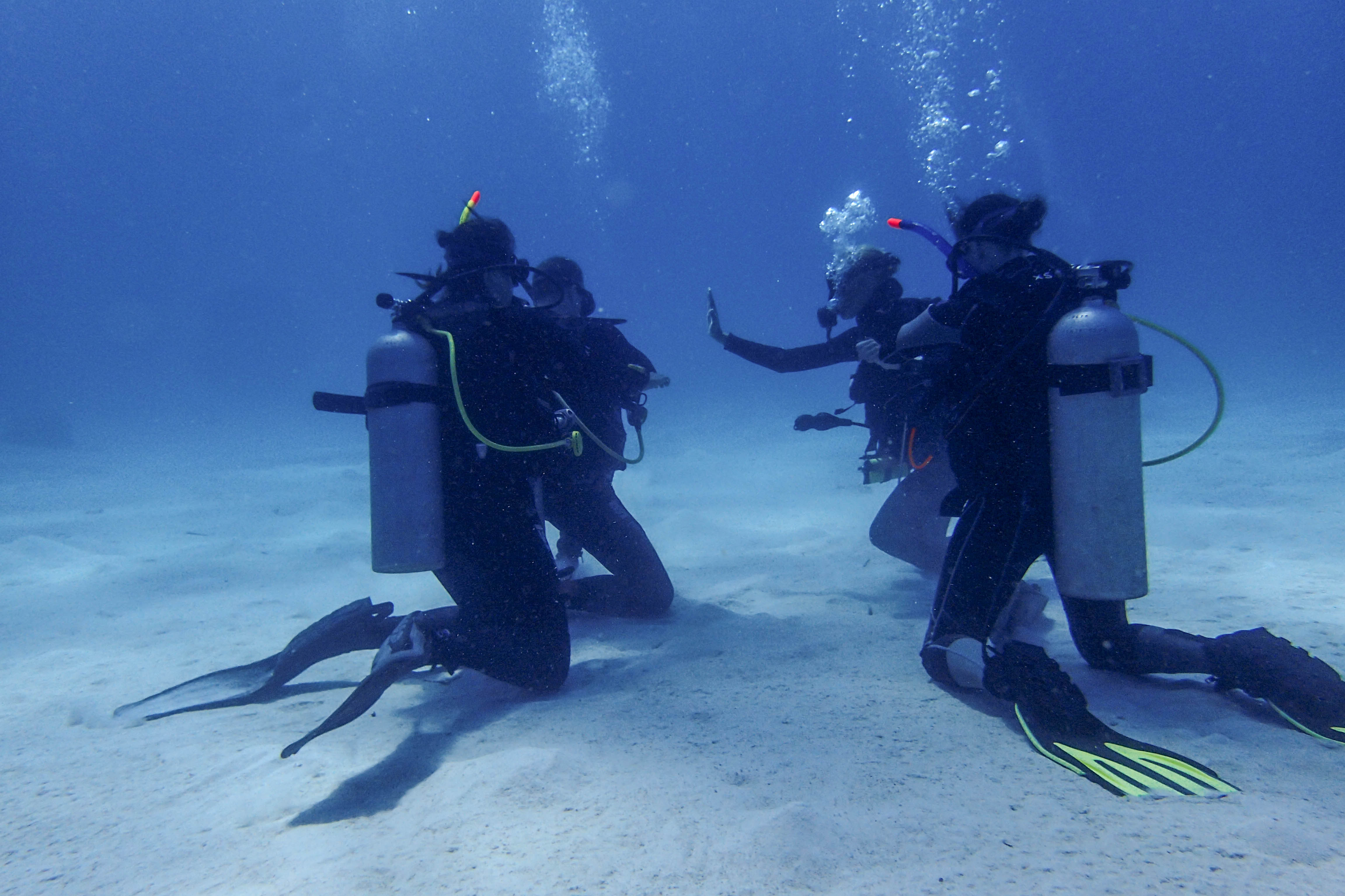 Aquatic Beginnings: Open Water Diver in Komodo with PADI 5* Center