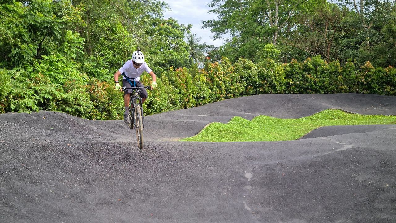 gobike singapore
