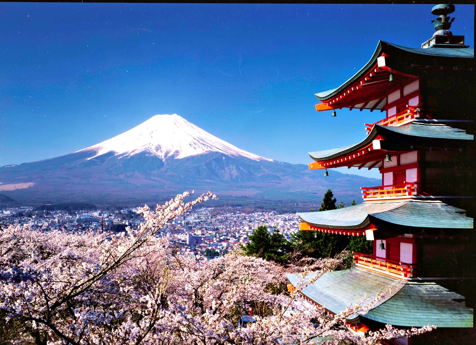 富士山一日私人遊（配有英語司機）