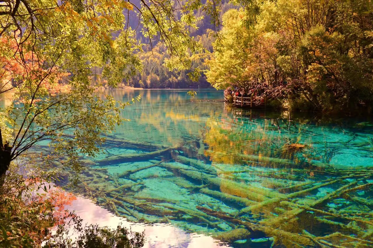【易遊網獨家】四川九寨溝峨眉全景6天5晚私家團（不朽岷江+一次玩遍四川精華九寨溝+峨眉山+樂山大佛+萌寵熊貓+地道美食一網打盡）