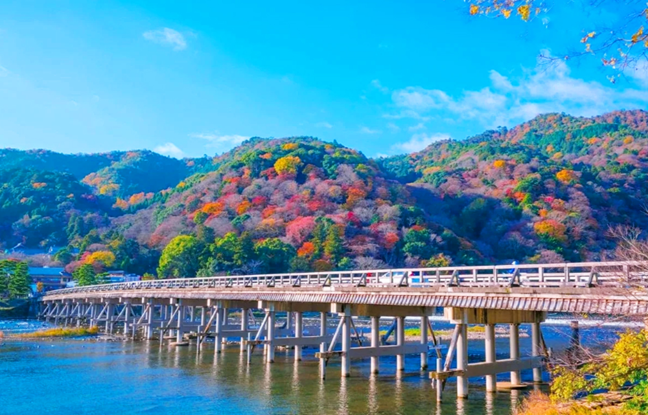 京都奈良嵐山一日遊|奈良公園喂小鹿 伏見稻荷千本鳥居 嵐山竹林小徑（大阪出發， 京都或大阪下車）