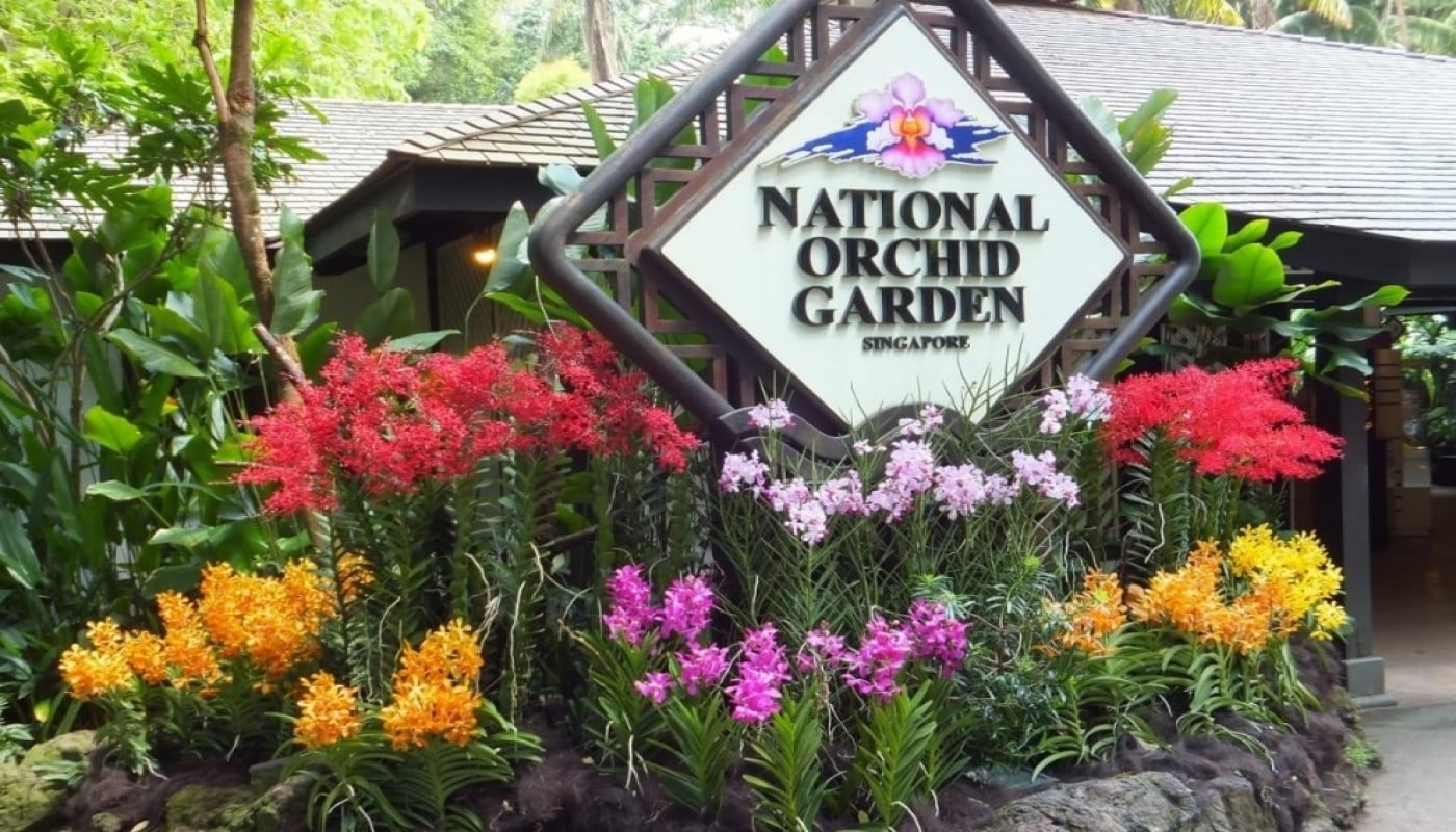 新加坡國家蘭花園 (National Orchid Garden Singapore)
