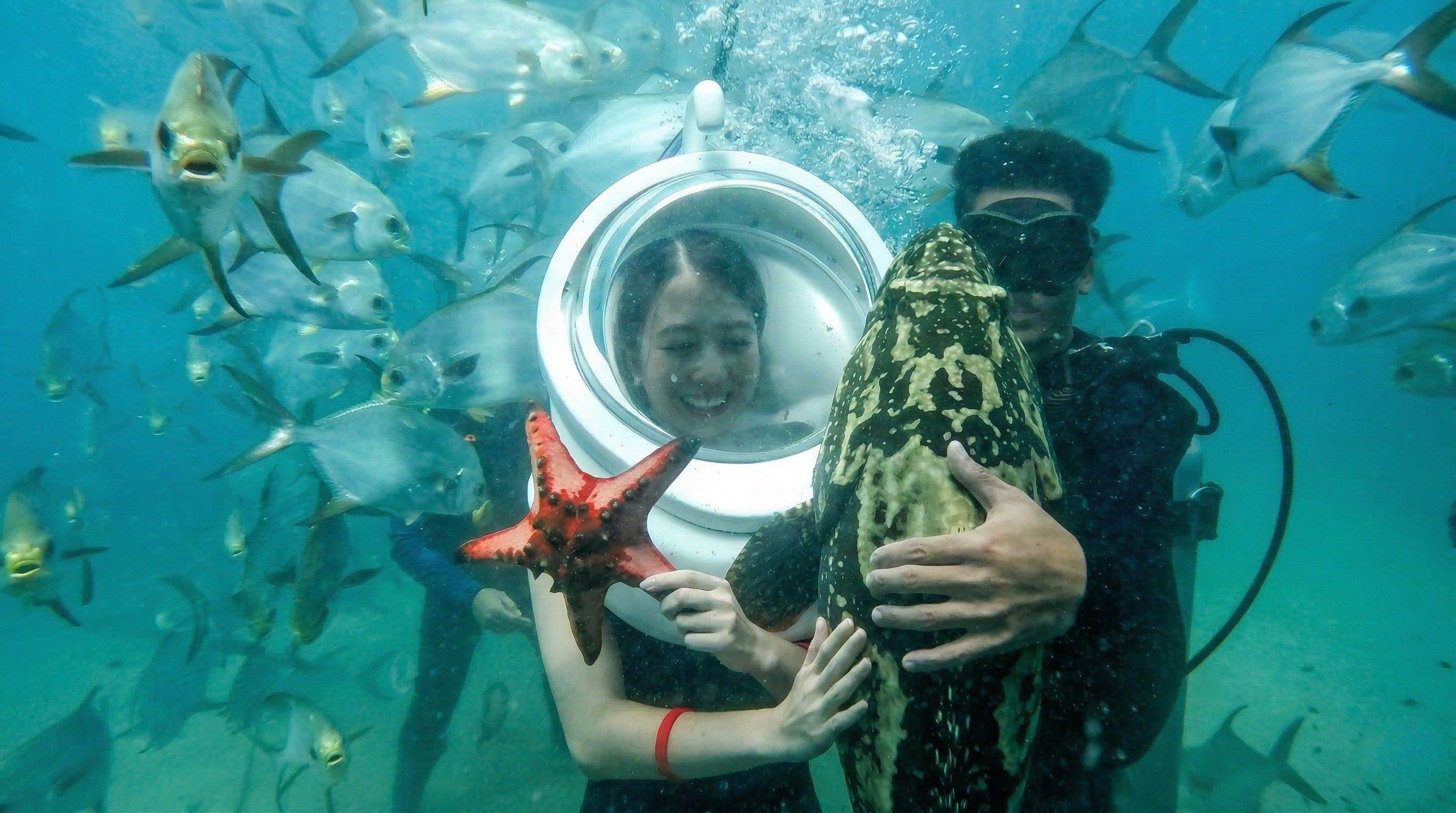 Seawalker at Ngoc Hien Sea Park & Big Fish Encounter by Speed Boat