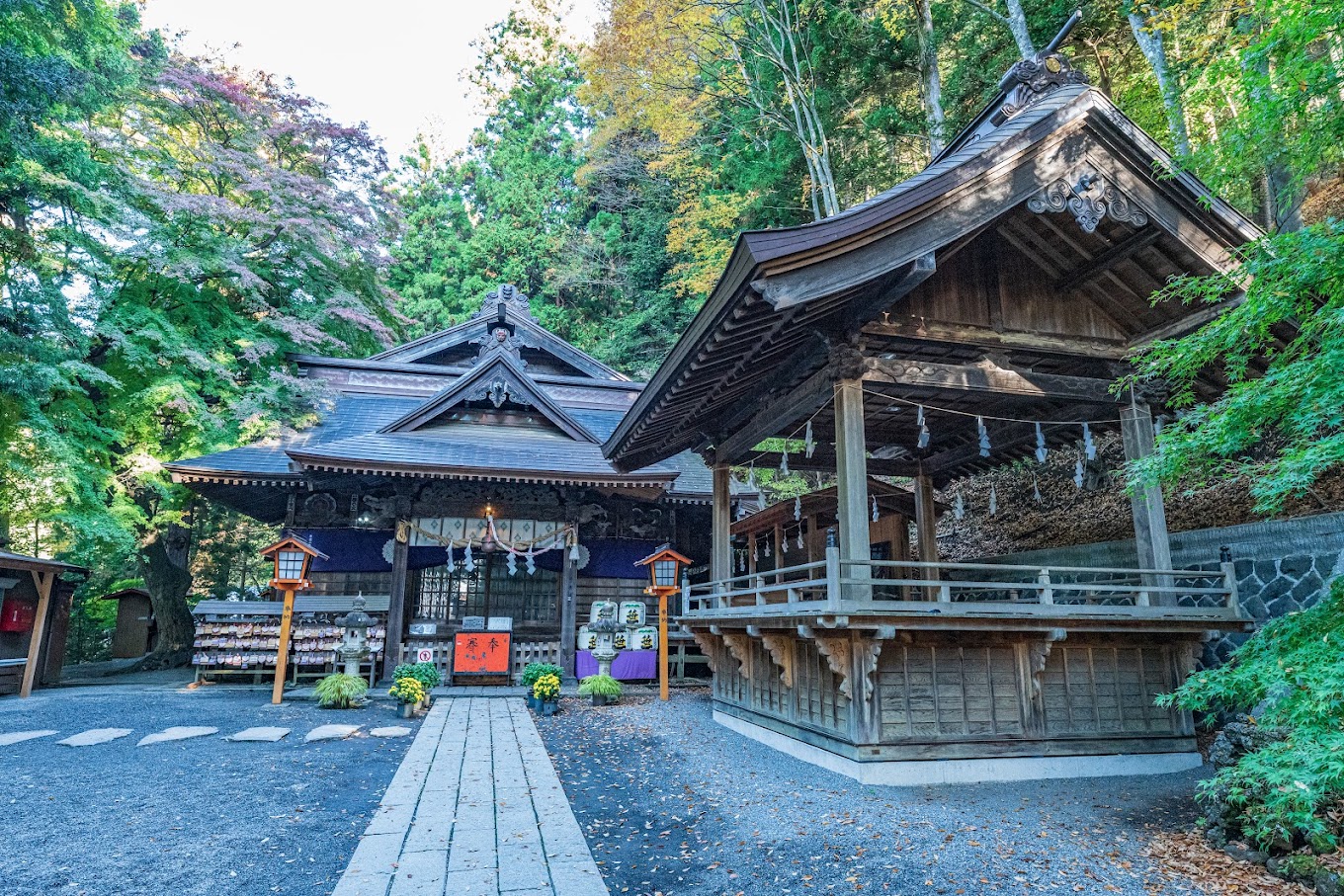 富士山全景一日遊 （東京出發）