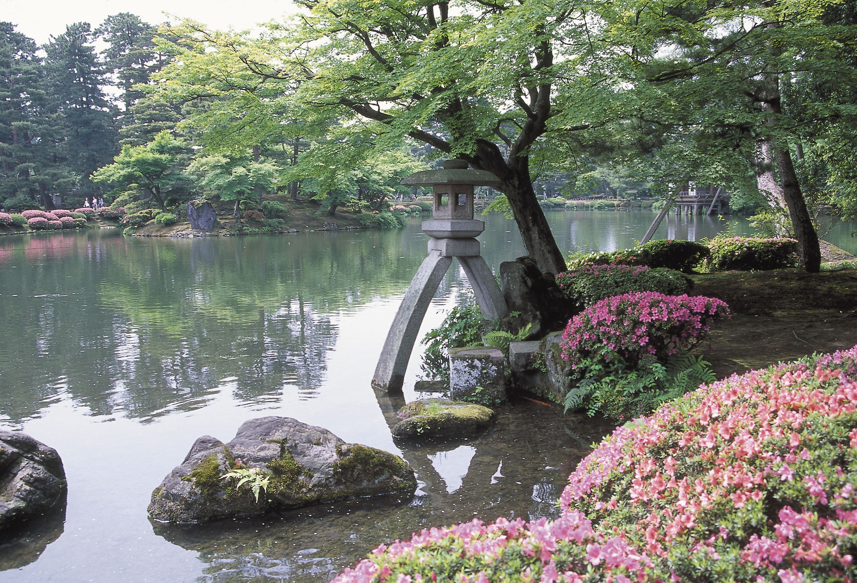 世界遺產白川鄉 & 傳統之鄉飛驒高山 & 兼六園2日遊