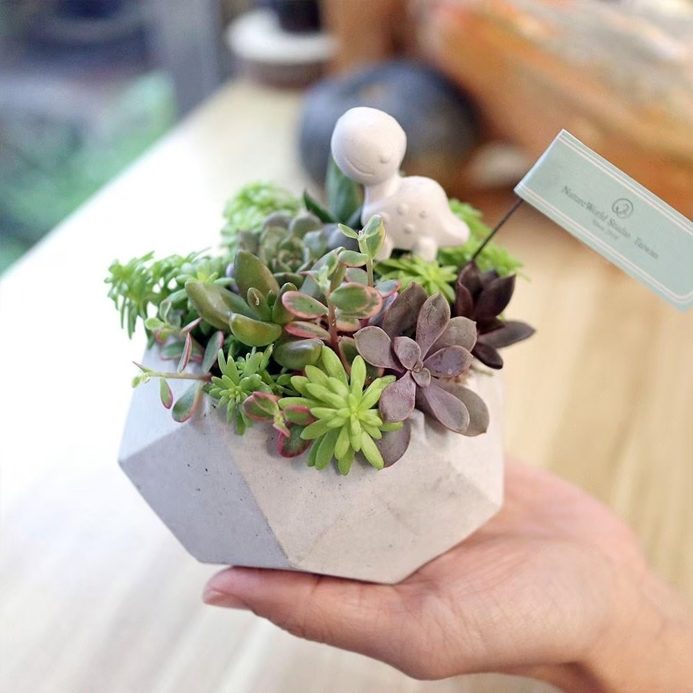 台北: 原生態工作室 - 花藝＆植物生態瓶＆青苔球製作＆空氣鳳梨（須電話預約）