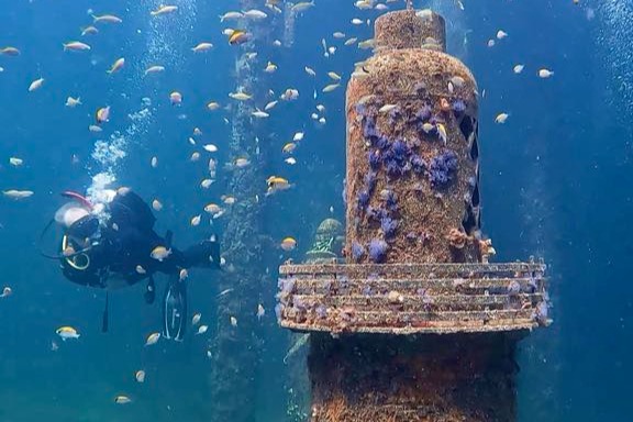 巴瑟爾頓碼頭雕塑浮潛步道之旅