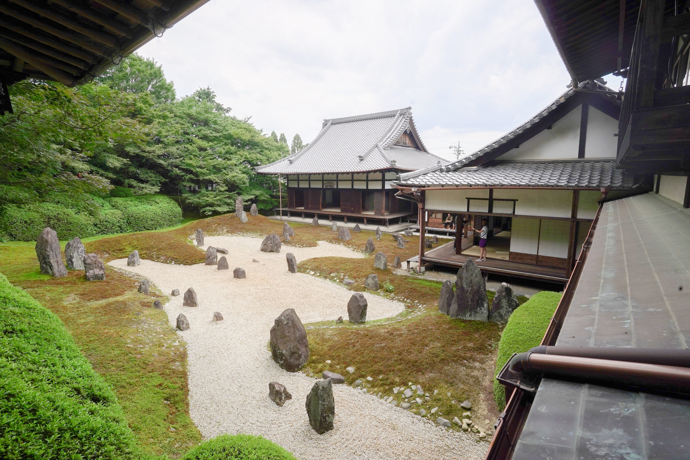 京都寺廟禪修 & 庭院之旅