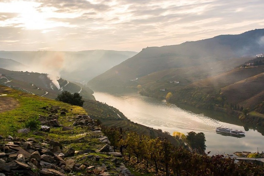 Pinhao & Douro Valley Day Cruise with Breakfast and Lunch from Porto