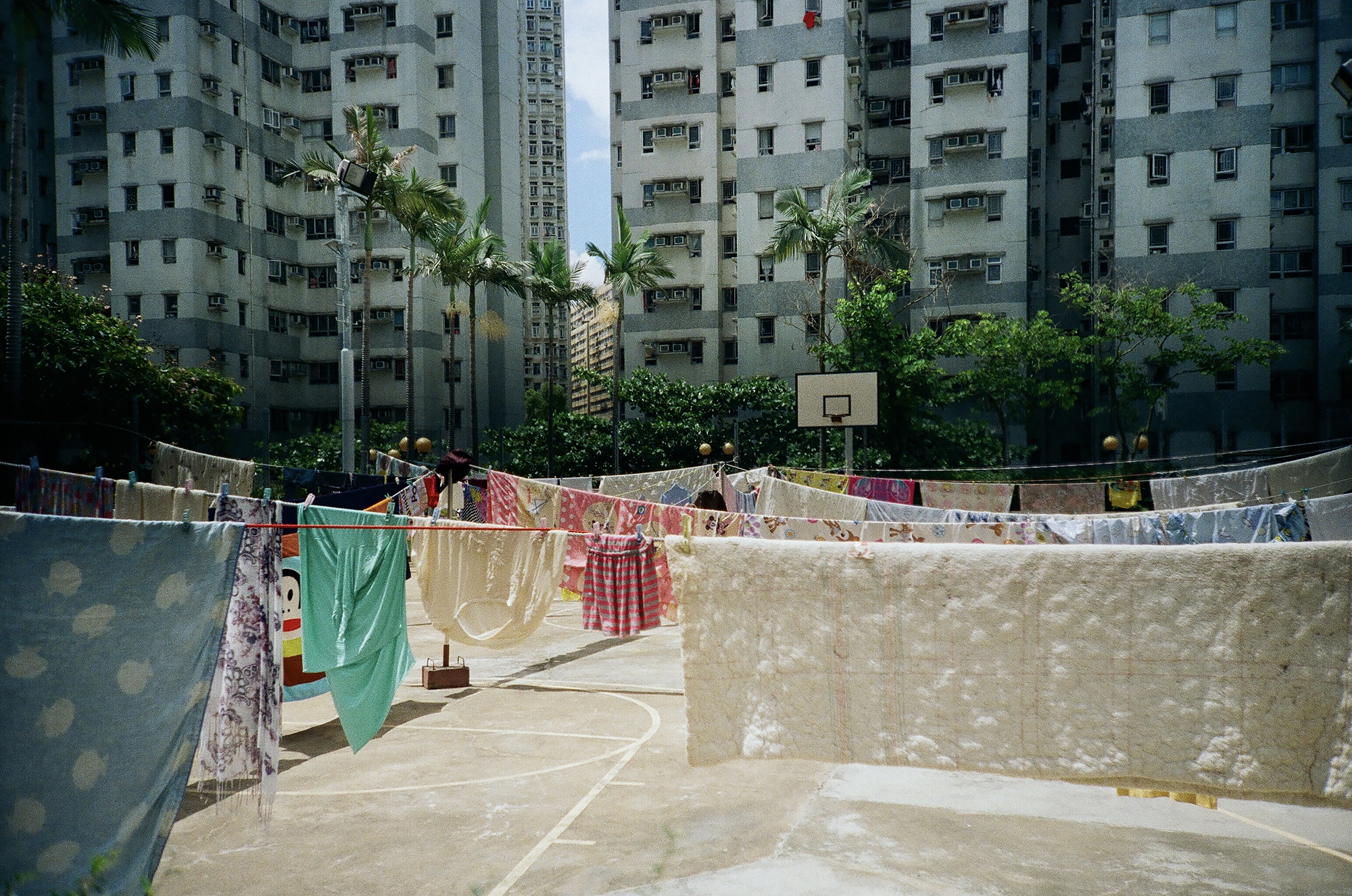 Find Your Direction (Practical Photography Experience) | Wan Chai