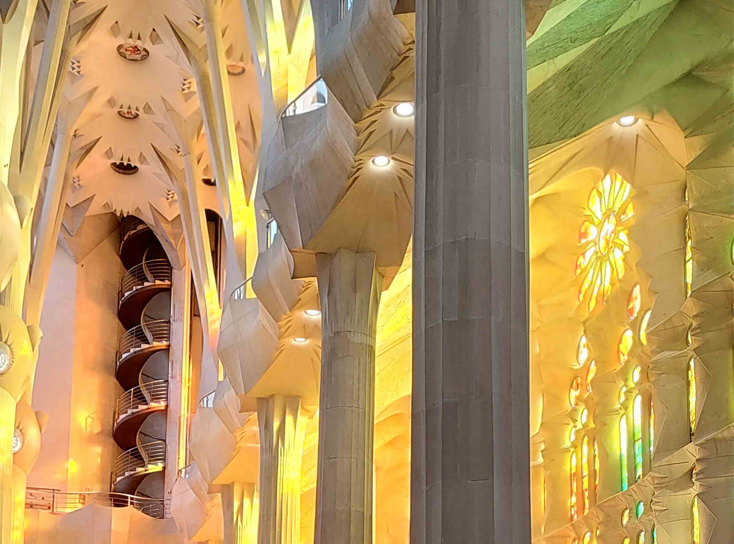 Lights and Shadows of the Sagrada Familia With Ticket And Guide