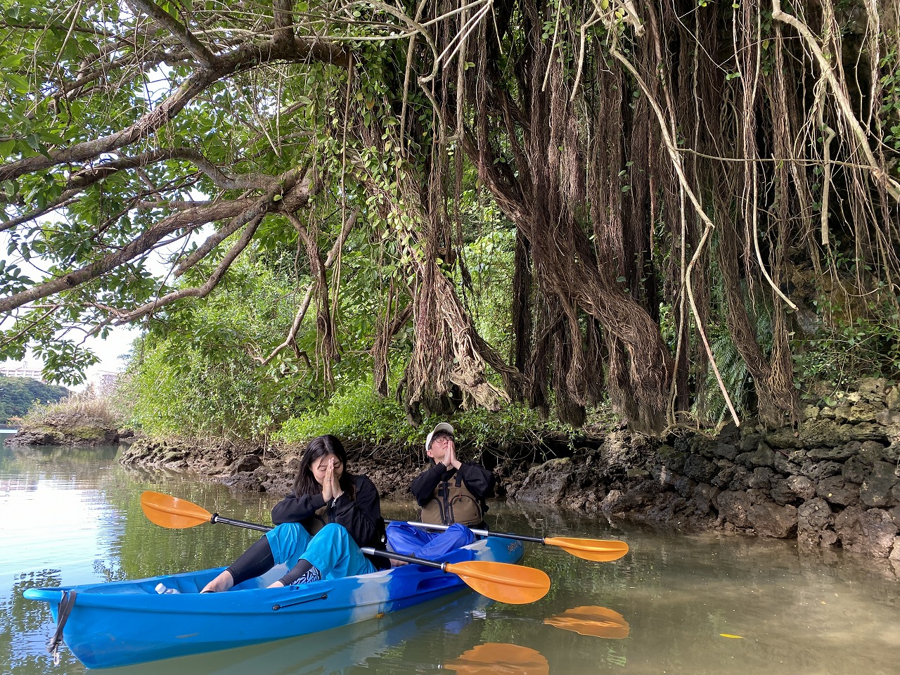 在榕樹能量景點許下心願。 在榕樹能量景點許下心願。