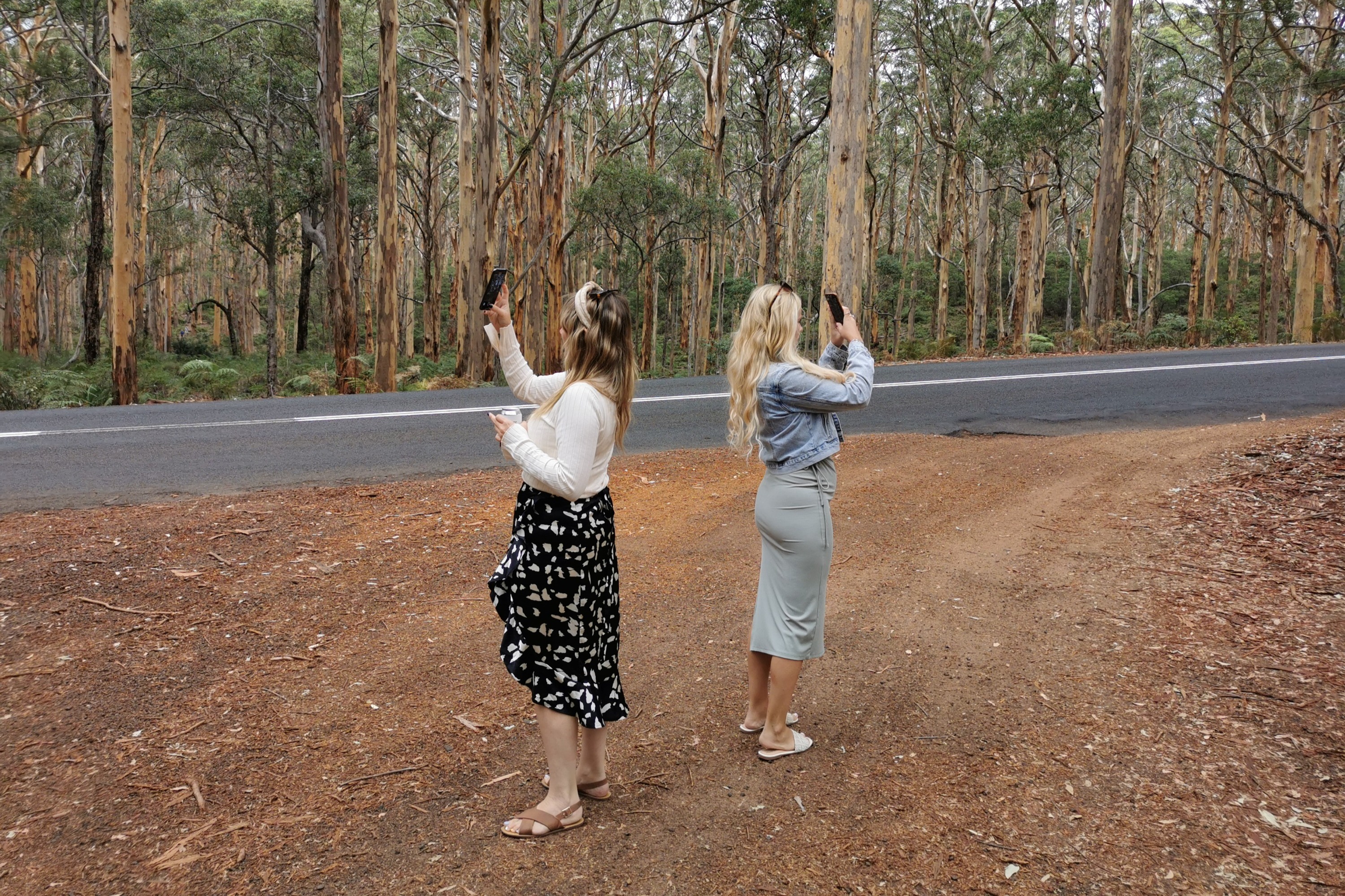 在您的瑪格麗特河之旅中,用精美照片捕捉難忘的回憶 在您的瑪格麗特河之旅中,用精美照片捕捉難忘的回憶