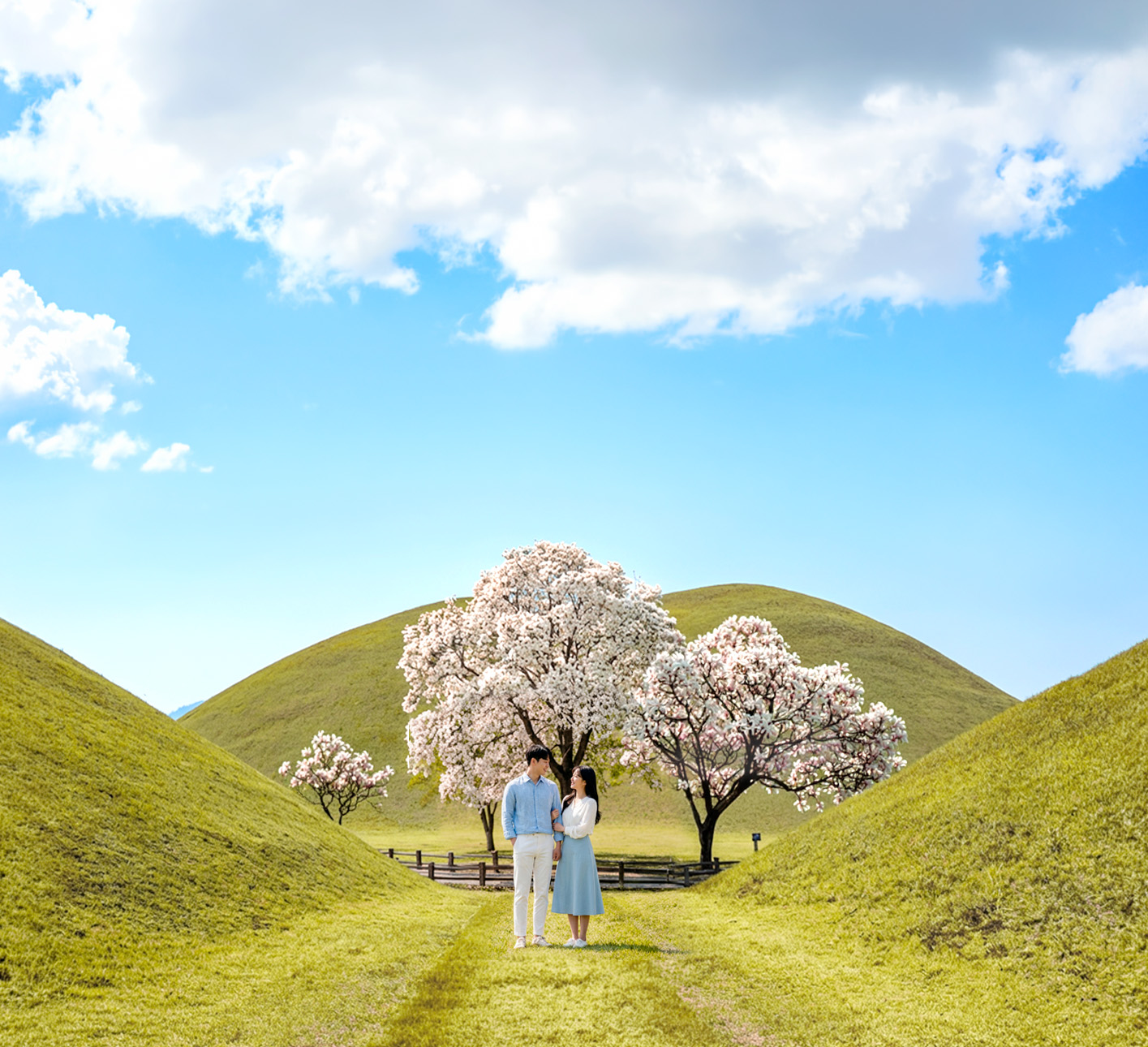 慶州大陵苑是新羅王國的一組皇家陵墓群，位於慶州中部。