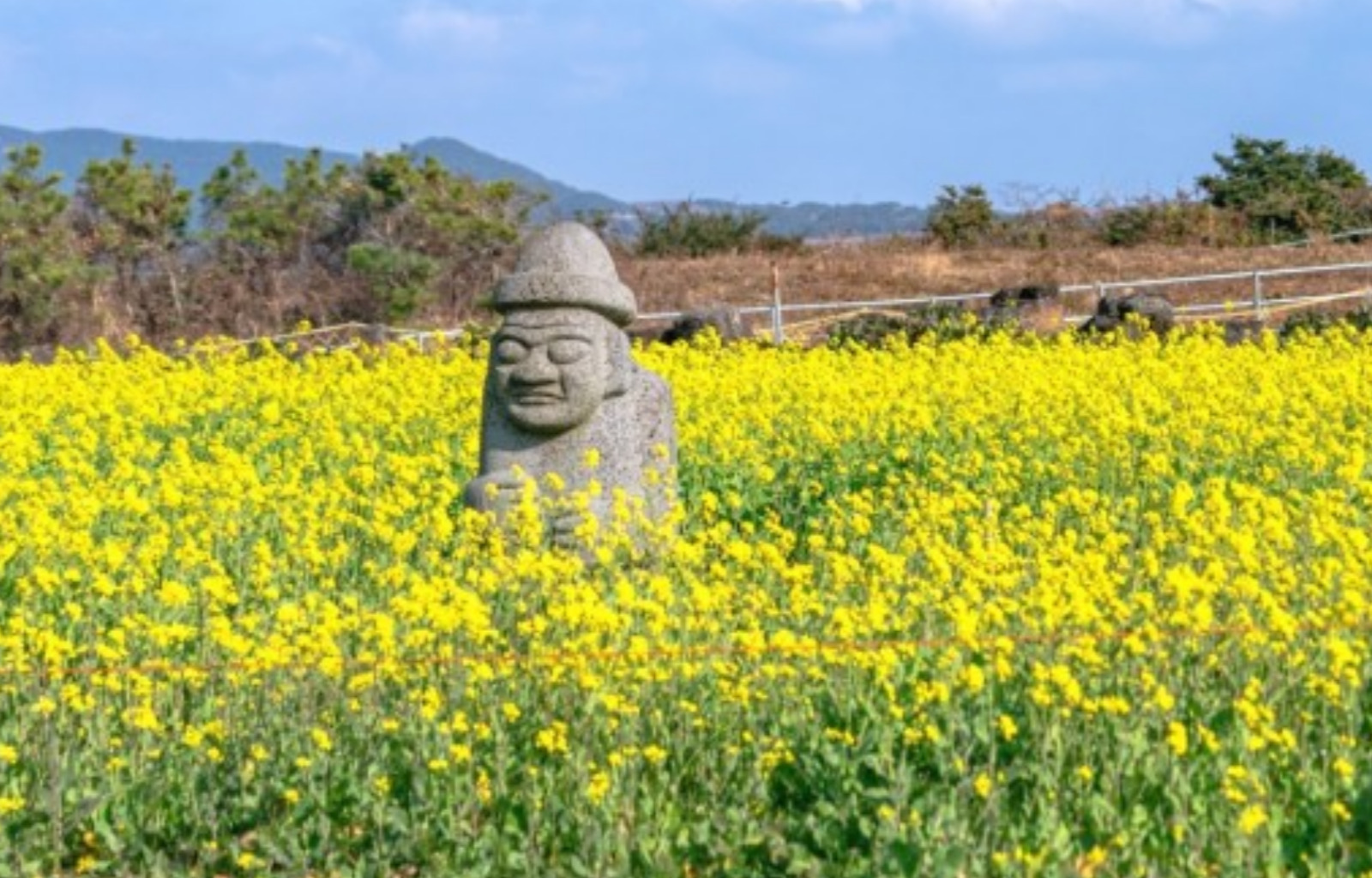 Jeju South Area Private Day Tour