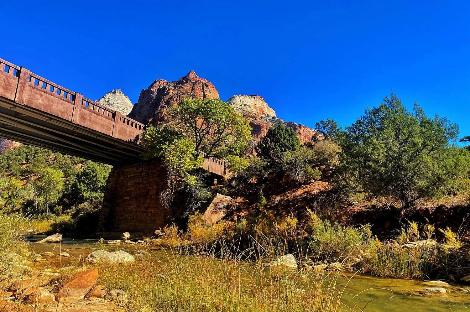 Zion National Park Private Day Tour from Las Vegas