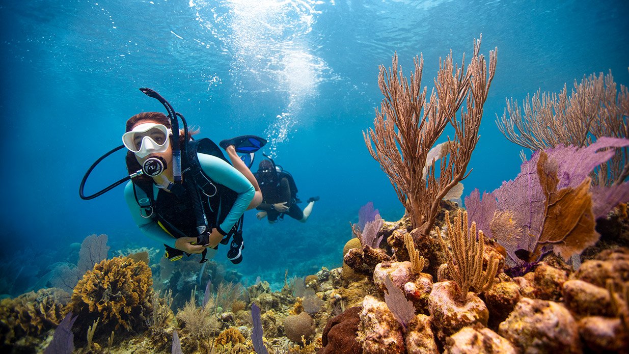 PADIオープンウォーターダイバーコース（バリ / PADI Dive Center提供）