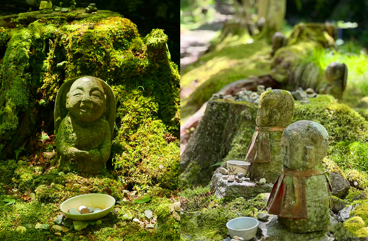 京都寶藏之旅 | 三千院（6/7月可賞繡球花） & 嵐山深度悠閒一日遊，嵯峨野小火車、竹林漫步、足湯溫泉暖身心|大阪或京都上下車