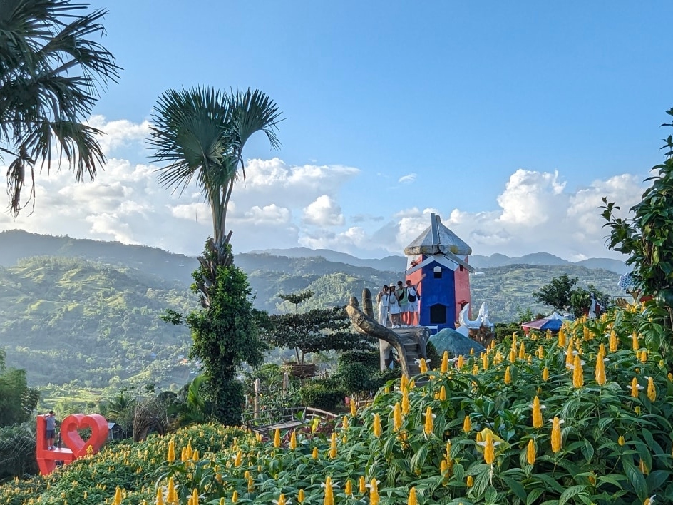 Half-Day Cebu City Tour including Sirao Garden