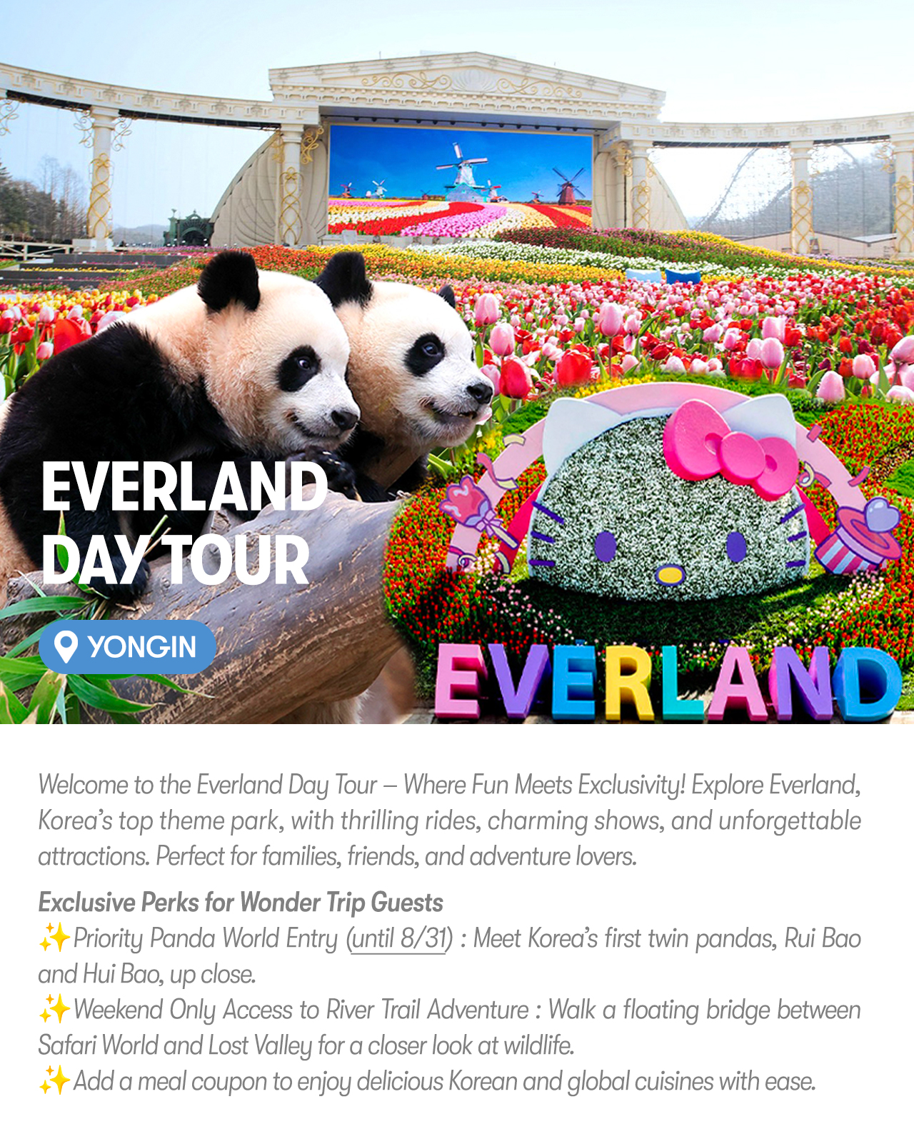 Everland Day Tour: Priority Entry (Till 31/5) + Optional Meal Coupon