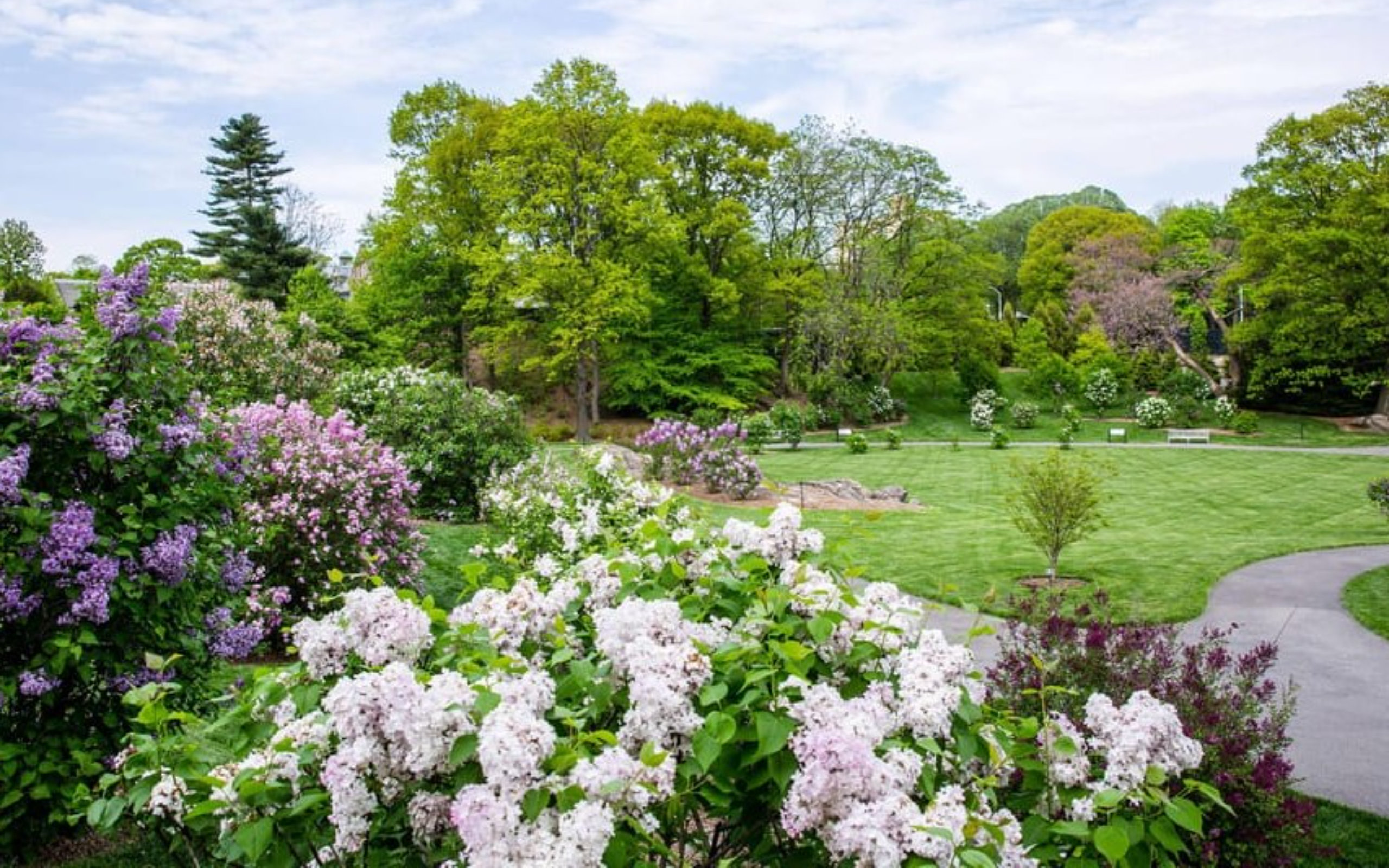 漫步穿過紐約市保存最完好的原始森林之一