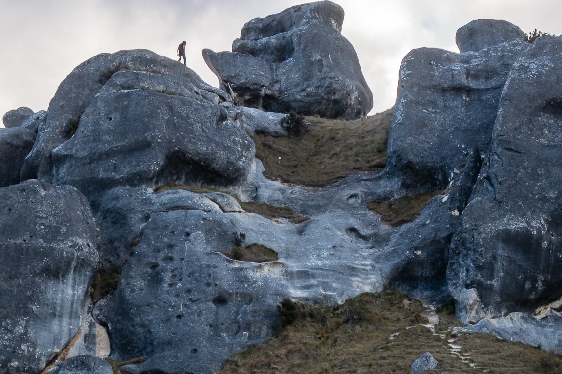 Arthur's Pass Day Tour From Christchurch via Castle Hill