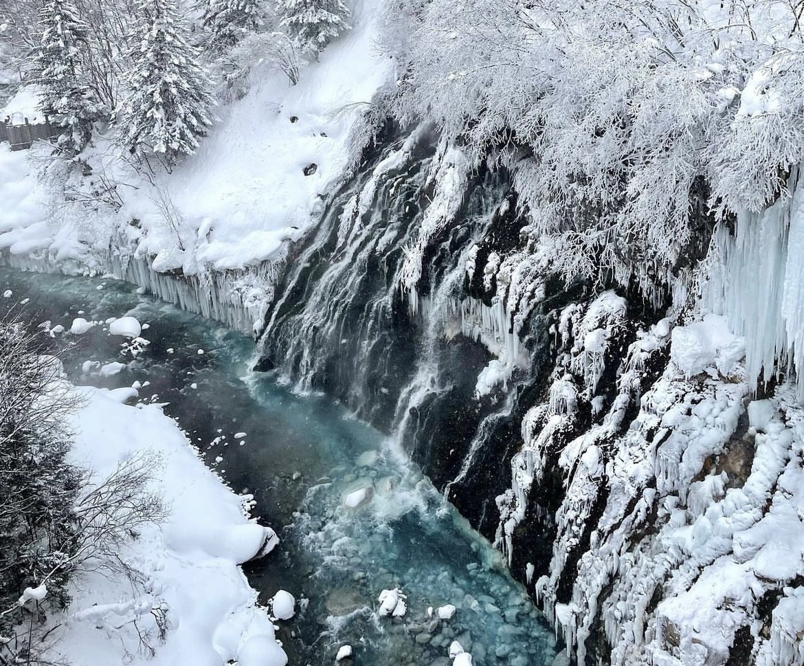 Hokkaido | Biei Winter Blue Pond & Shirasuga Falls Illumination Day Tour | Departing from Sapporo