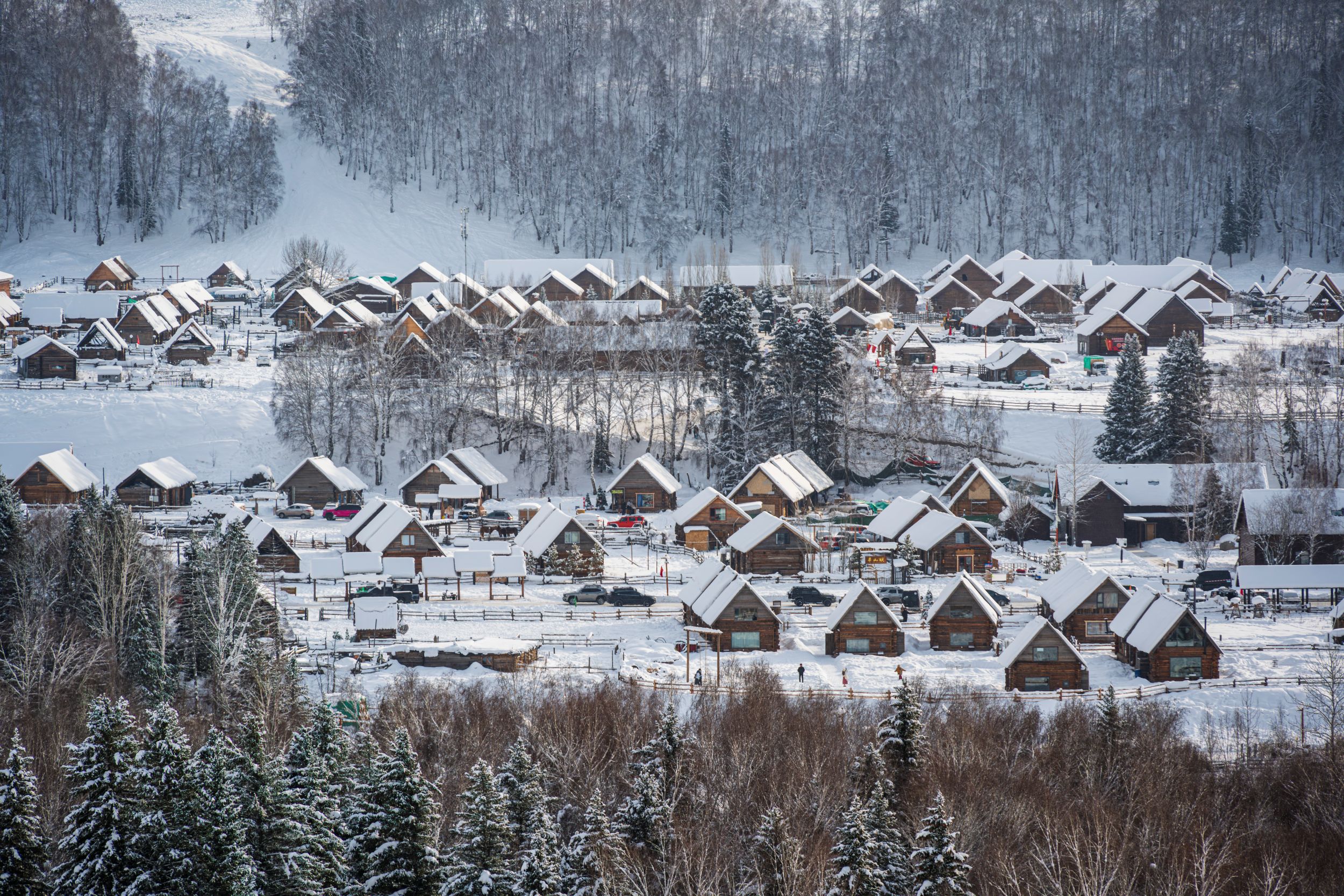 Spark and Wilderness | Xinjiang Winter Altay Diamond Double Lakes · 1+1 First Class 8-Day Tour