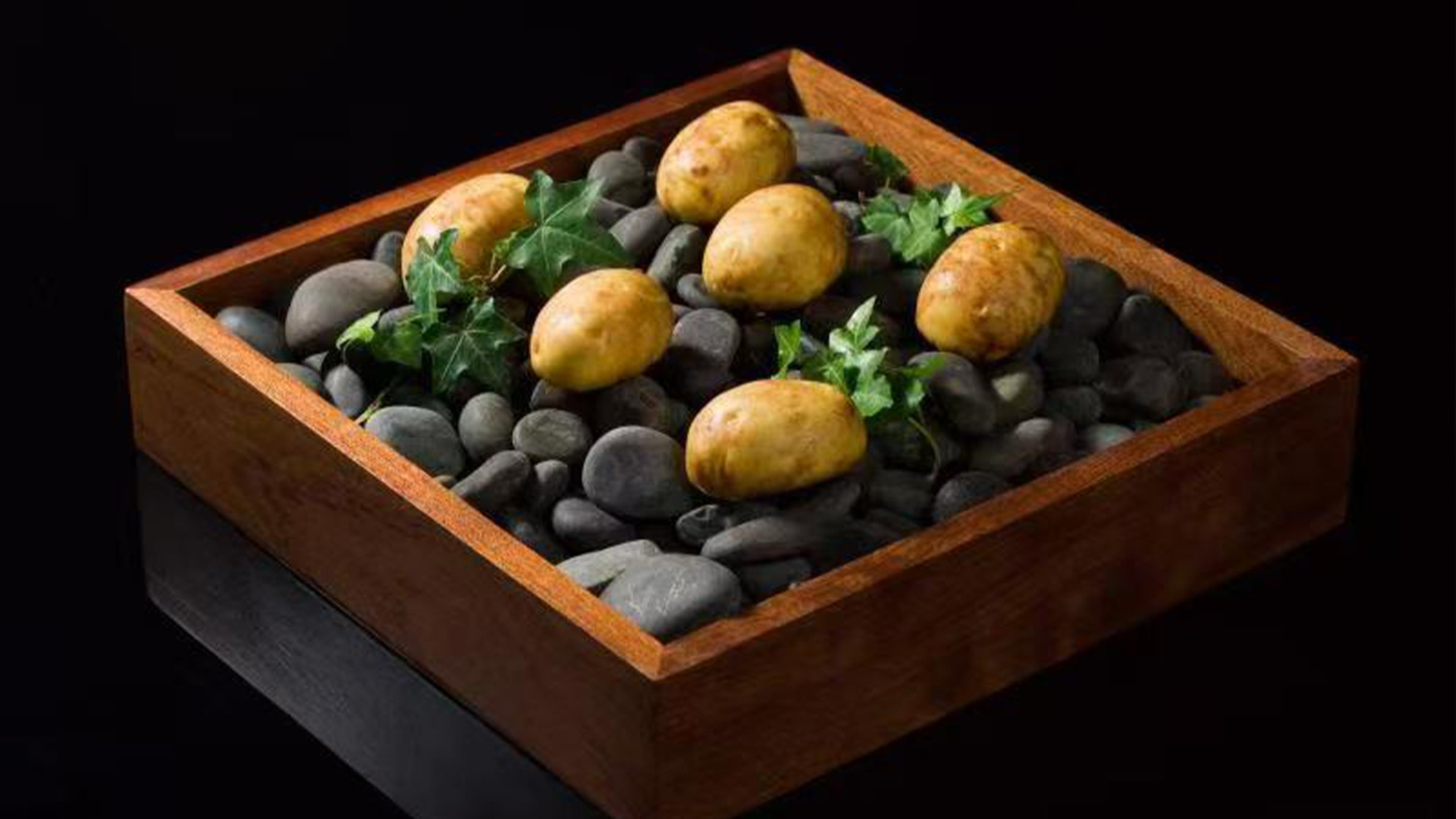 Xin Kitchen Guizang | Xinfeixiang Building Store