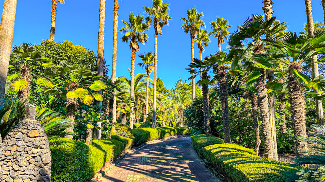在東部路線中,您將能欣賞到城山日出峰、叉子村、洞穴以及海女。請參考東部行程表。
在東部路線中,您將能欣賞到城山日出峰、叉子村、洞穴以及海女。請參考東部行程表。