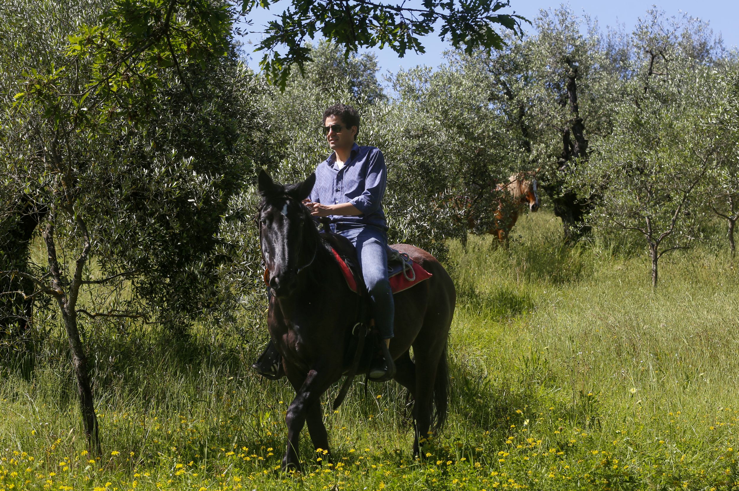 Tuscany horseback riding experience with seasonal meal from Florence