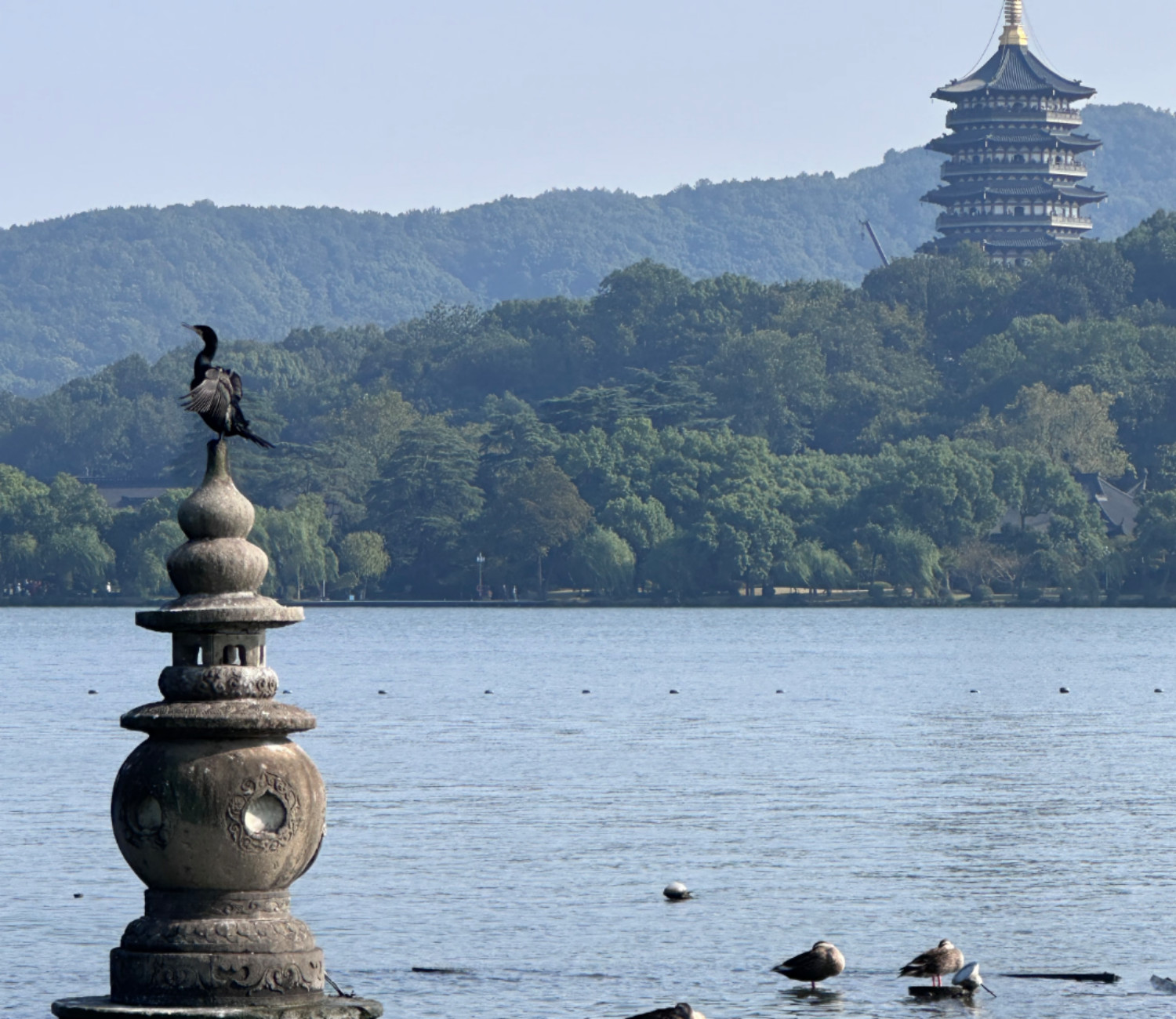 Leifeng Pagoda & Three Pools Mirroring the Moon Small Group Day Tour