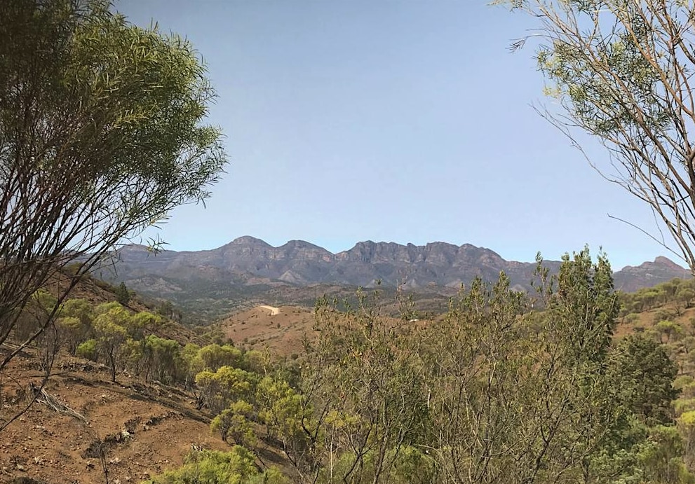 Bunyeroo and Brachina Gorge 4WD Tour in Rawnsley Park