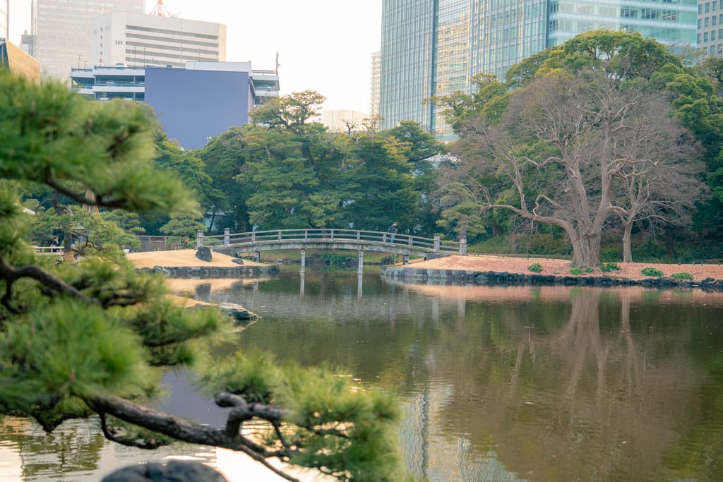 1-Day Tokyo Highlights Tour with a Private Car and Guide
