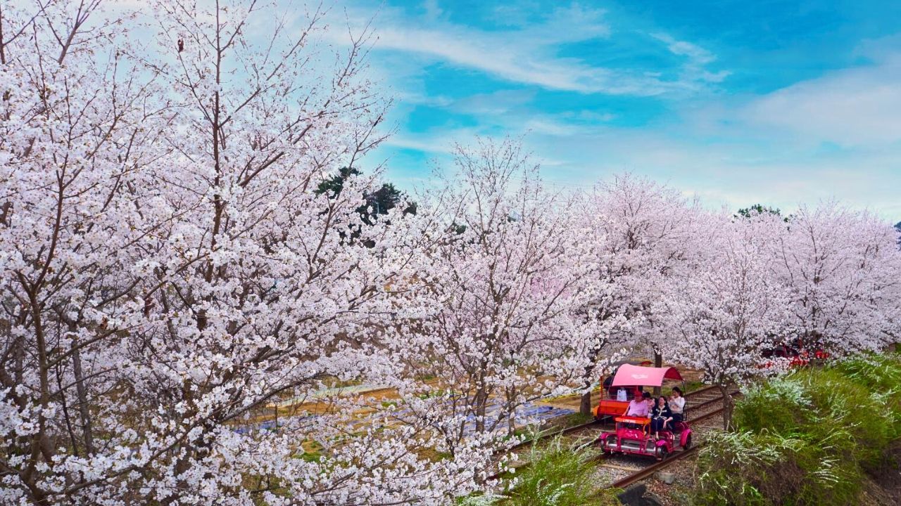 羊駝牧場 / 南怡島 / 江村鐵路自行車 / 晨靜樹木園 / 樂高樂園 /  秋海棠鳥園