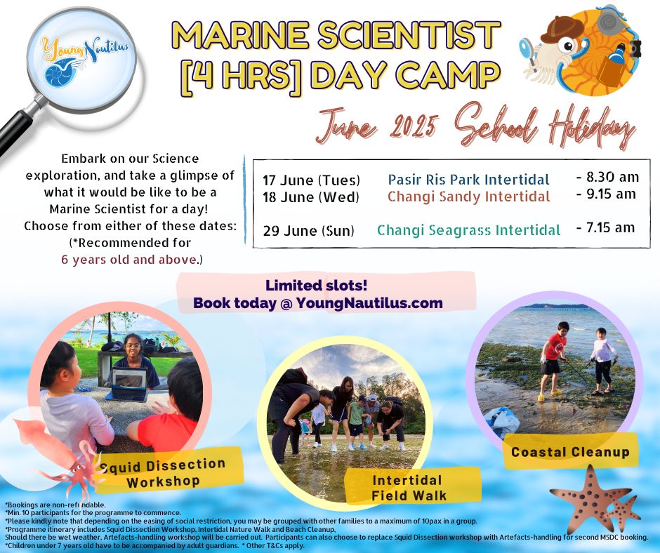 新加坡Marine Scientist Day Camp海洋營地體驗