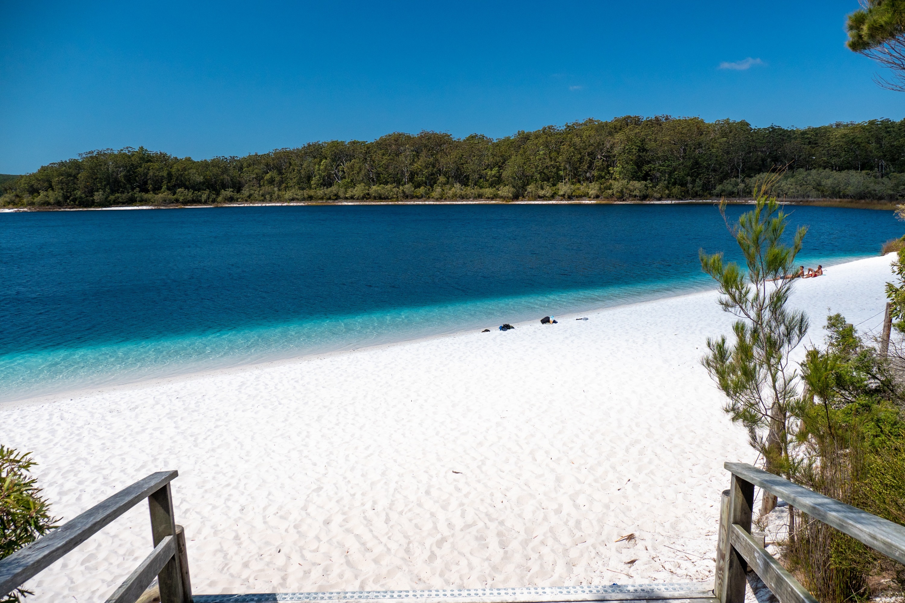 White sands of Boorangoora (Lake McKenzie)