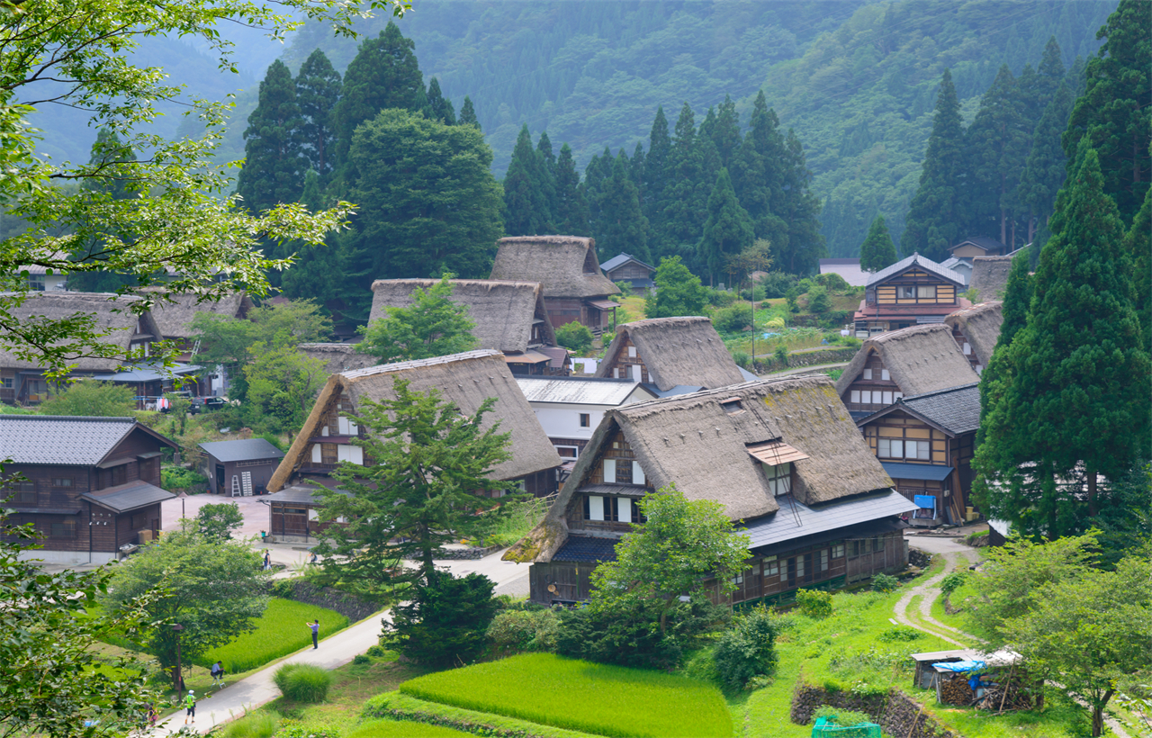 飛驒高山&白川鄉合掌村落&宮川朝市&古街漫步