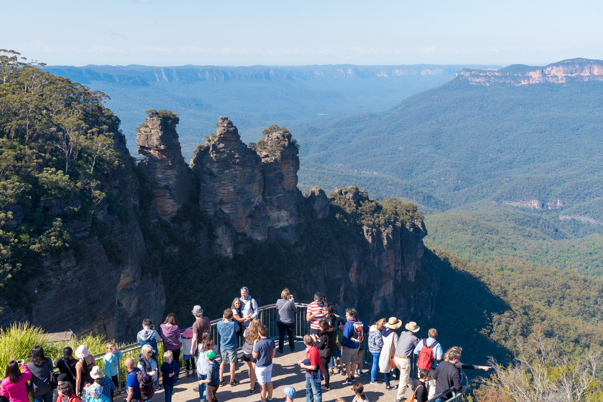 Australian Wildlife, Blue Mountains & Scenic World Private Tour