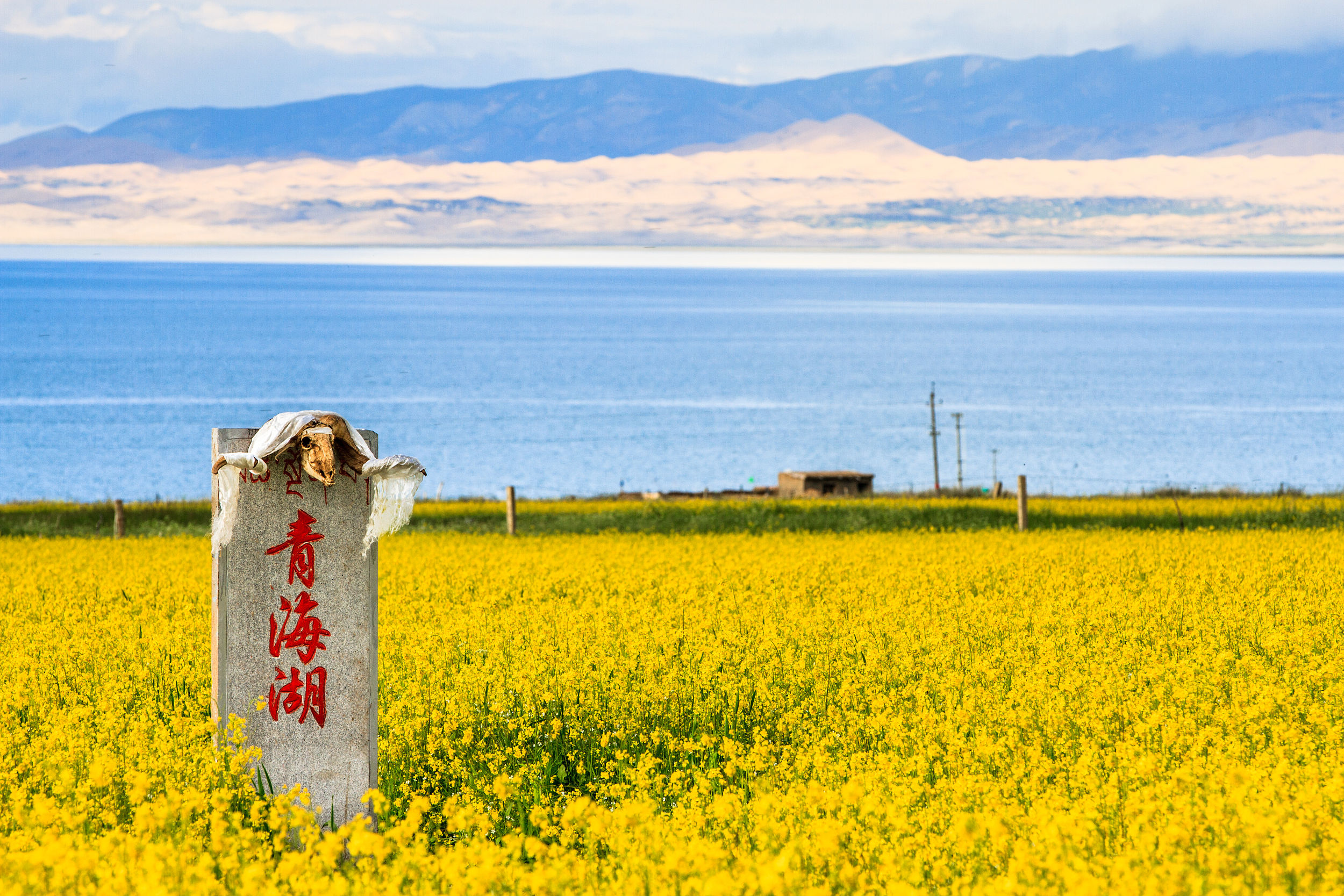 【青海湖】湛藍湖水與雪山相接，騎行或漫步湖邊，感受“高原藍寶石”的治癒