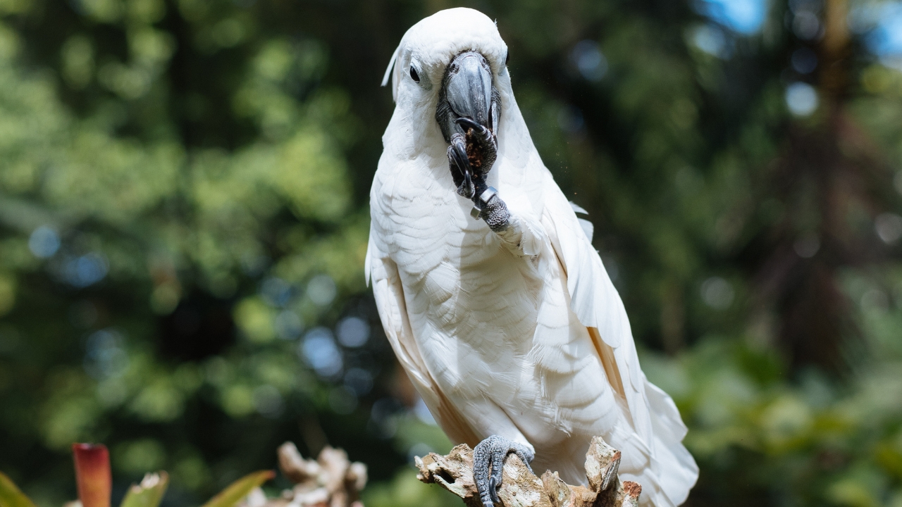 Bharatpur Bird Sanctuary Overnight Tour from Delhi