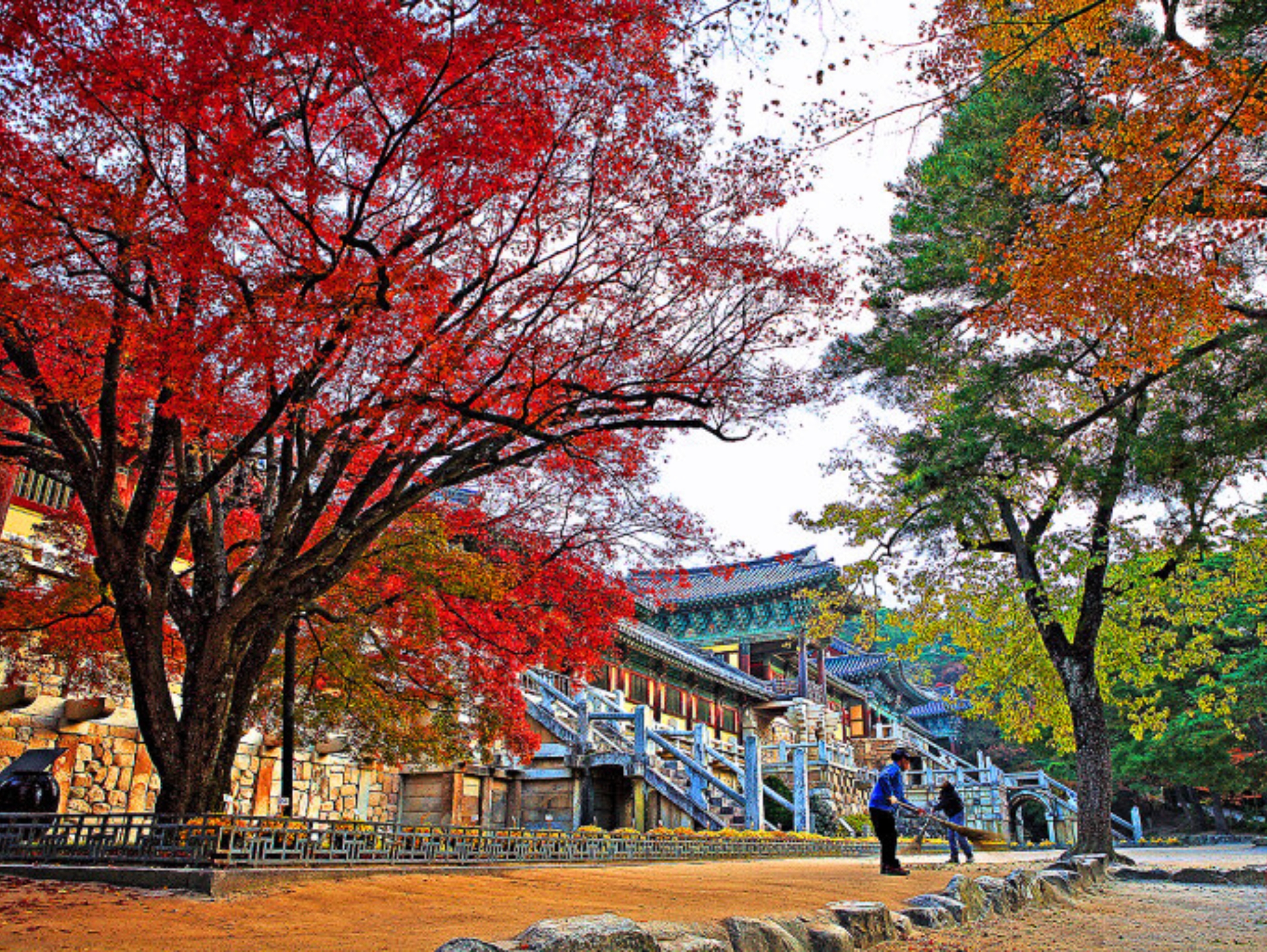 慶州黃理團路×佛國寺秋楓之旅（釜山）